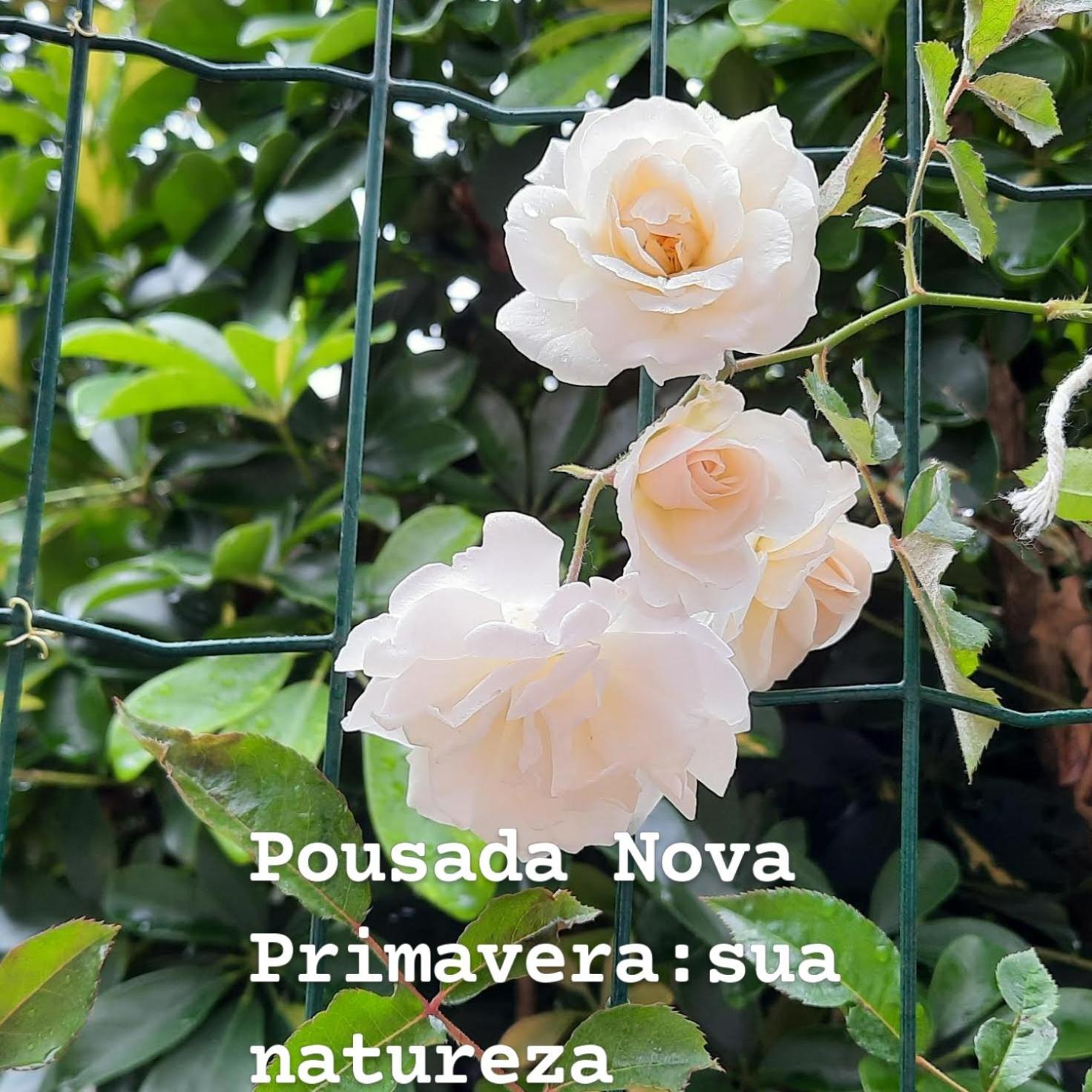 Pousada Nova Primavera 우바투바 외부 사진